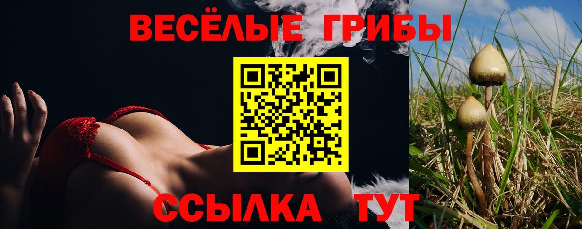 Псилоцибиновые грибы Magic Shrooms  Вход с VPN  Галлюциногенные грибы мицелий  Железногорск 