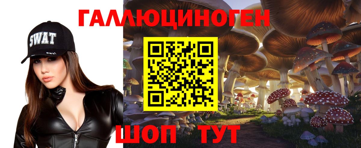 Галлюциногенные грибы Cubensis Железногорск